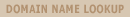 Domain Name Lookup