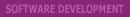 Software Development